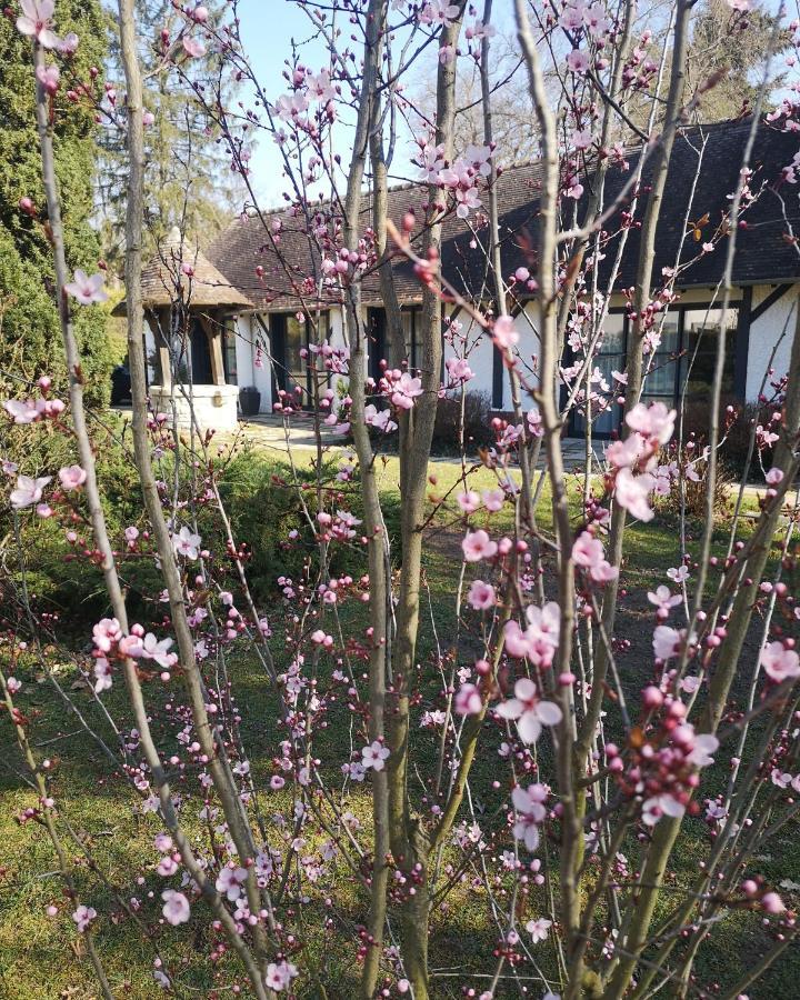 Les Enclos Bed And Breakfast A 4 Mn De Chantilly Lamorlaye Dış mekan fotoğraf